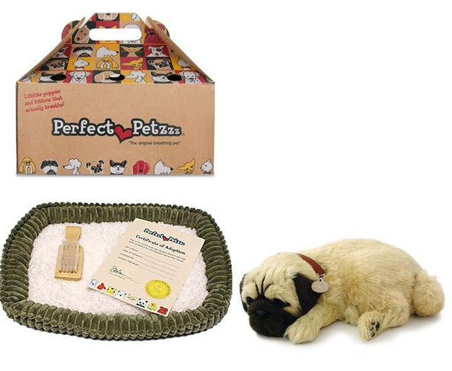 Perfect discount petzzz pug