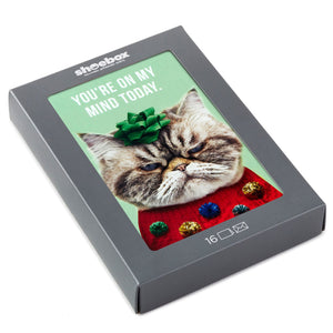 Hallmark Kevin the Cat in Holiday Sweater Boxed Christmas Cards, Pack of 16