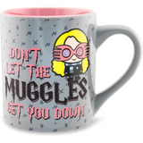 Harry Potter Don't Let the Muggles Get You Down 14 Oz. Ceramic Mug