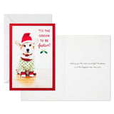 Hallmark Holiday Pup in Jammies and Hat Boxed Christmas Cards, Pack of 40