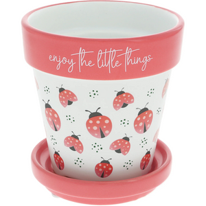 Enjoy The Little Things 4" Ladybugs Planter with Tray