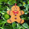 Mr. Bird Gingerbread Man Cookie Bird Seed Ornament