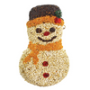 Mr. Bird Seed Frosty Snowman