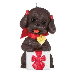 Hallmark Puppy Love Poodle 2024 Ornament