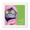 Hallmark Pampered Cat Photo Funny Coaster