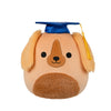 Squishmallow Finley Brown Irish Setter Dog with Graduation Cap 8" Stuffed Plush by Jazwares