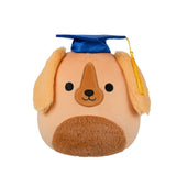 Squishmallow Finley Brown Irish Setter Dog with Graduation Cap 8" Stuffed Plush by Jazwares