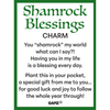 Shamrock Blessings Token Charm