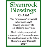 Shamrock Blessings Token Charm