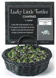 Lucky Little Turtle Pocket Token Charm