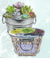 Pail of Peace - Grow Your Own Soothing Succulents