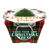 The Perfect Pine - Grow Your Own Christmas Tree