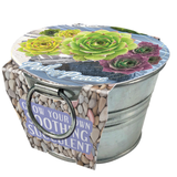 Pail of Peace - Grow Your Own Soothing Succulents