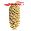 Giant Pine Cone Mr. Bird Seed Treat