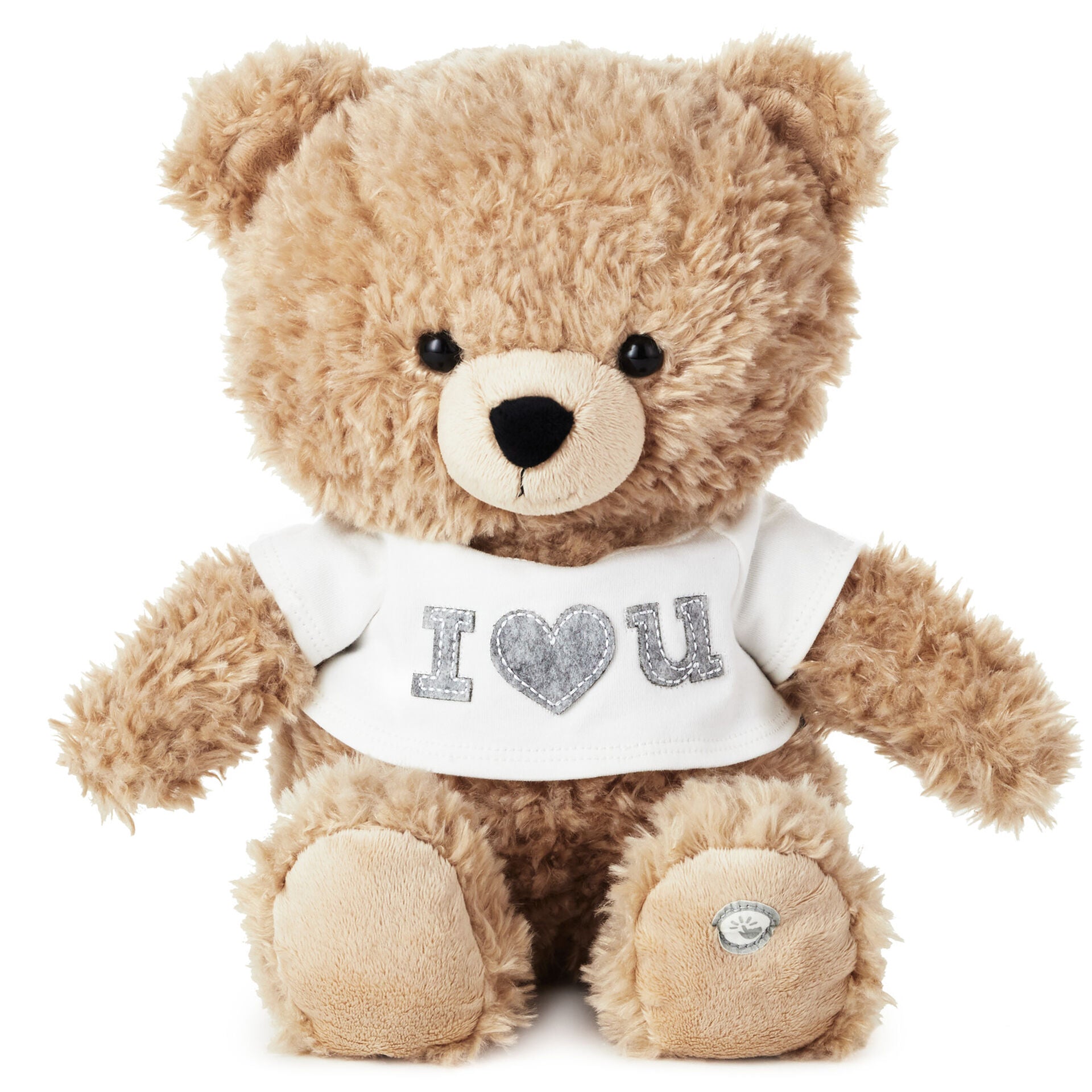 Recordable teddy hot sale bear hallmark